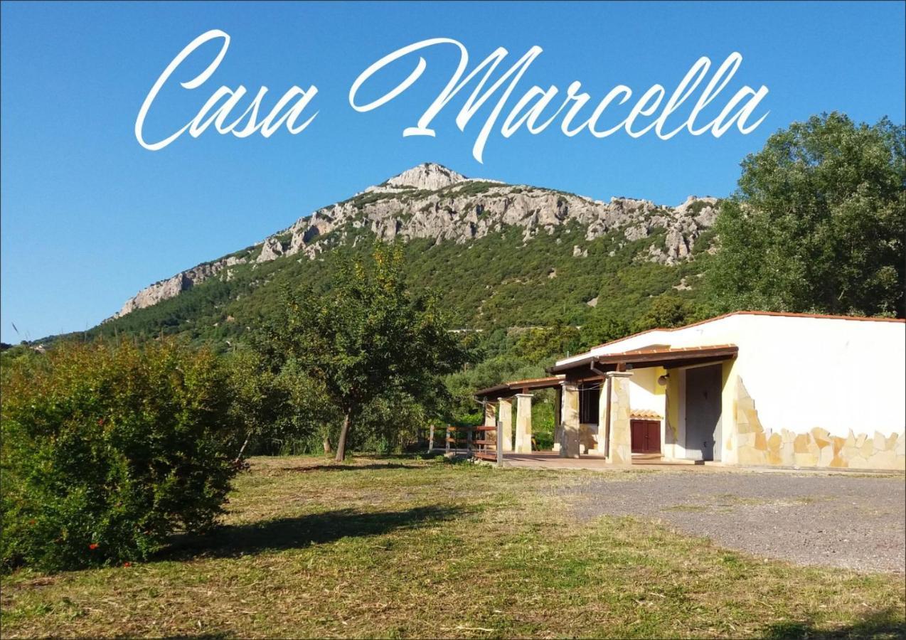 Casa Marcella Apartman Dorgali Kültér fotó