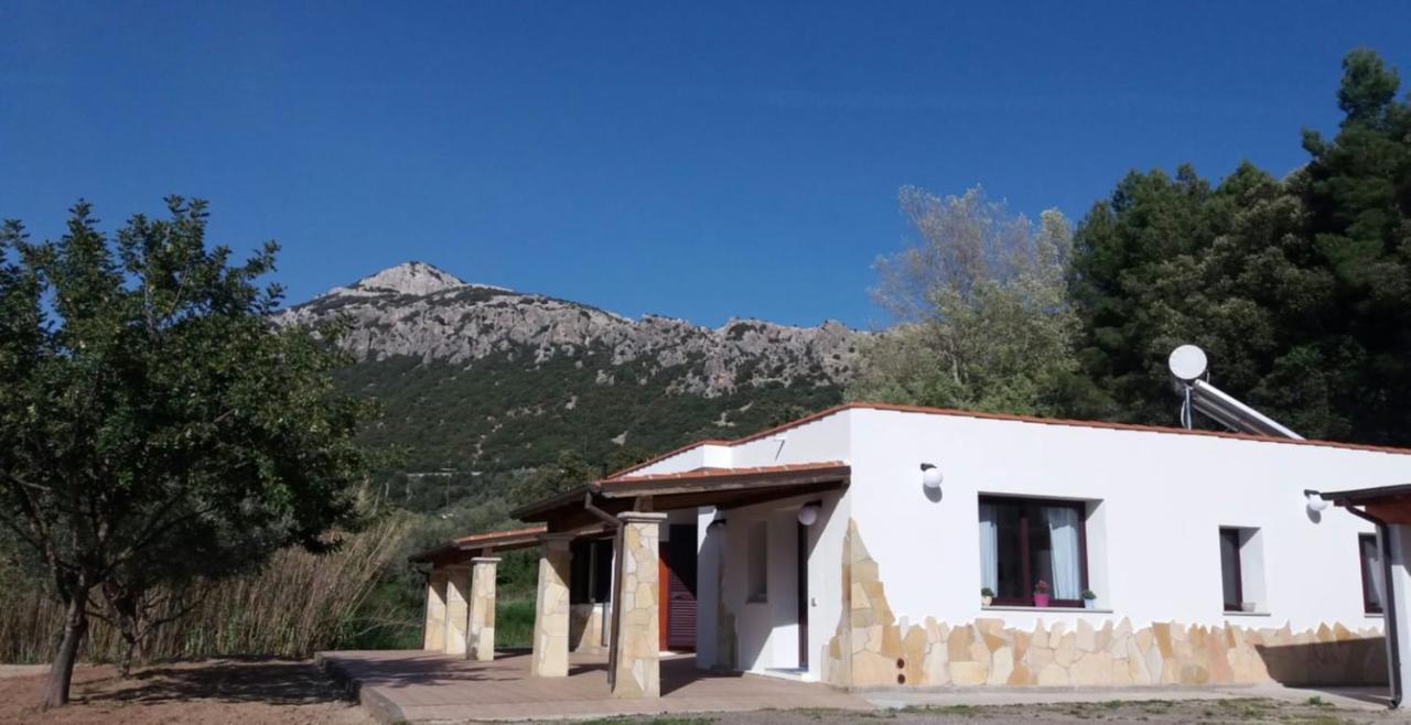 Casa Marcella Apartman Dorgali Kültér fotó